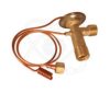 ELECTRO AUTO 60B0010 Expansion Valve, air conditioning